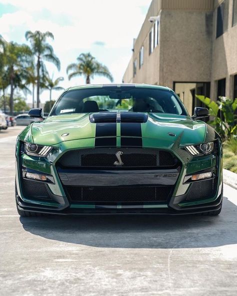 Green Mustang, Mustang Wallpaper, Mustang Gt500, Ford Mustang Shelby Gt500, Ford Focus St, 4 By 4, Ford Ka, Toyota 4, Ford Capri