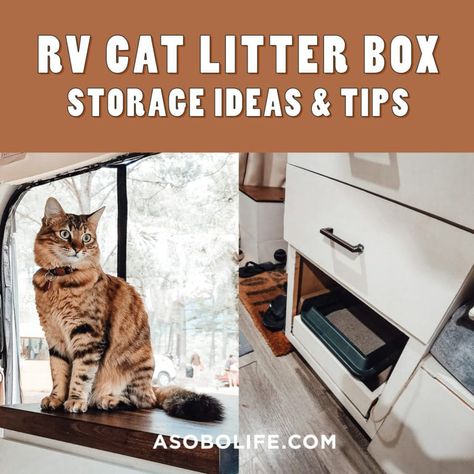 Rv Cat Enclosure, Camper Cat, Rv Cat, Traveling With Pets, Business Cat, Camping With Cats, Women Tips, Build A Camper Van, Build A Camper