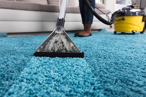 Steam cleaning is a highly effective and efficient method of removing buildup from carpet fibers, including mold and pet odors. Steam Clean Carpet, Done By Deer, Carpet Cleaning Hacks, Astuces Diy, Clean Sofa, Mattress Cleaning, Carpet Cleaning Company, Professional Carpet Cleaning, Carpet Cleaning Service