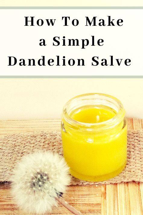 Diy Potions, Flower Infused Oil, Dandelion Salve, Homemade Salve, Dandelion Oil, Lotion Bars Recipe, Herbal Health, Healing Salve, Salve Recipes