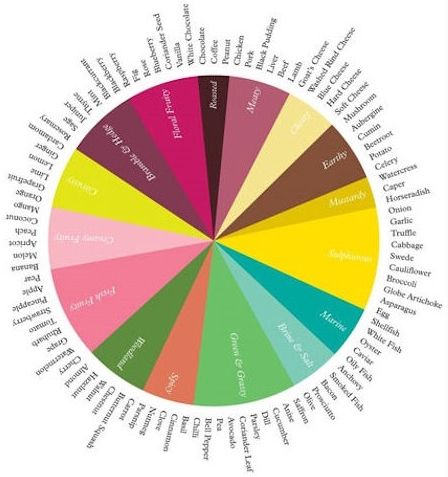 The Flavour Thesaurus by Niki Segnit - a useful reference book and a good read. Flavor Wheel, Culinary Lessons, Black Pudding, Peanut Chicken, Food Combining, Food Info, Vanilla Chocolate, Food Science, Chocolate Shop