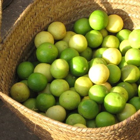 Version Board, Key Limes, Mexican Drinks, Lime Tree, Fruit Dip, Lime Pie, Lime Zest, Key Lime Pie, Perfect Garden