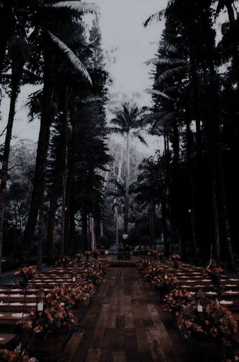 Dark Fairycore Wedding Aesthetic, Gothic Jungle, Mafia Wedding, Dark Romantic Wedding, Twilight Wedding, Dark Wedding Theme, Jungle Wedding, Never Getting Married, Romantic Wedding Venue