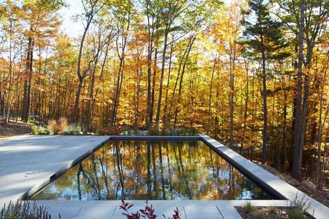 Architect Visit: Into the Woods with Drew Lang in the Hudson Valley - Gardenista Yard Remodel, Rectangular Pool, Natural Swimming Pools, Concrete Pool, Luxury Pools, Building A Pool, Dream Pools, Backyard Pool Designs, Swimming Pools Backyard