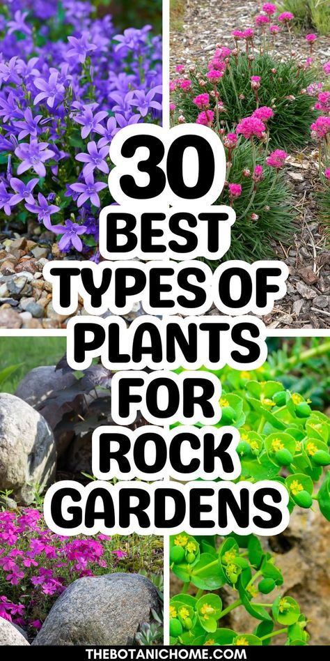 Best plants for a low maintenance rock garden landscaping featuring diy rock garden ideas, river rock garden features, and a stunning rock yard design. River Rock Landscaping Around Pool, Stone Landscaping Ideas Flower Beds, Oklahoma Flower Beds Landscape Design, Layered Rock Garden, Plants For Rock Garden Landscaping, Rock Border Flower Bed, Rock Flower Beds In Front Of House, Rock Gardens With Plants, Simple Rock Landscaping Ideas