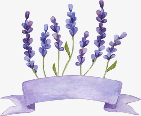 lavender,flowers,watercolor,small fresh,small,fresh,lavender clipart Flower Graphic Design, Watercolor Png, Flowers Watercolor, Flower Background Wallpaper, Flower Graphic, Tutorial Diy, Lavender Flowers, Aesthetic Stickers, Journal Stickers