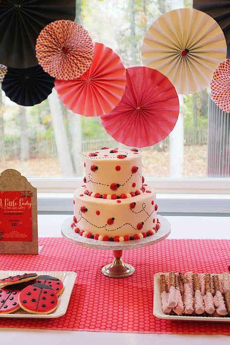 A Little Lady Baby Shower Ladybug Baby Shower Cake, A Little Lady Is On Her Way, Little Lady Baby Shower Ideas, Lovebug Baby Shower Ideas, Lady Bug Baby Shower Theme Girl, Ladybug Baby Shower Ideas, Love Bug Baby Shower, Ladybug Baby Shower Decorations, Pink Ladybug Party