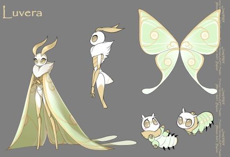 Siren Ideas, Knight Rpg, Wing Ideas, Moth Witch, Character Descriptions, Zoophobia Comic, Cute Moth, Lunar Moth, Moth Art