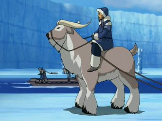 Animals From Avatar, Yak Image, Northern Water Tribe, Avatar Animals, Clydesdale Horses, Water Tribe, Avatar The Last Airbender Art, Team Avatar, Pet Bunny