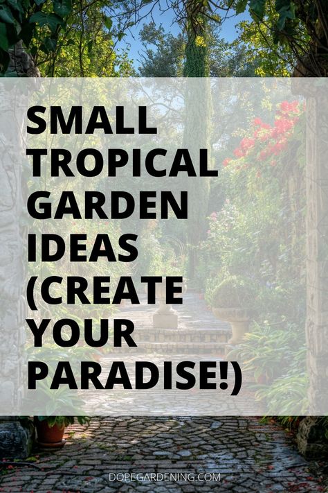 Explore charming small tropical garden ideas to transform your outdoor space into a lush oasis. Discover clever landscaping tips for incorporating plants, stylish layout and design ideas, and unique decor elements. Create inviting pathways surrounded by vibrant greenery, set up a cozy patio retreat, and enhance the ambiance with strategic lighting. Utilize decorative containers to add pops of color and texture. Click for more inspiration on bringing a tropical paradise to your backyard! Tropical Verandah Ideas, Tiny Tropical Garden, Outdoor Tropical Decor, Tropical Patio Decor Ideas, Tropical Small Backyard, Tropical Walkway, Tropical Backyard Decor, Tropical Garden Design Small Spaces, Small Jungle Garden Ideas