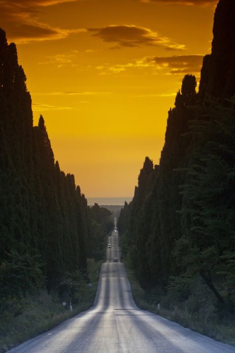 Toscana Italia, Beautiful Roads, Tuscany Italy, Elba, Mellow Yellow, Lucca, Siena, Wonderful Places, Italy Travel