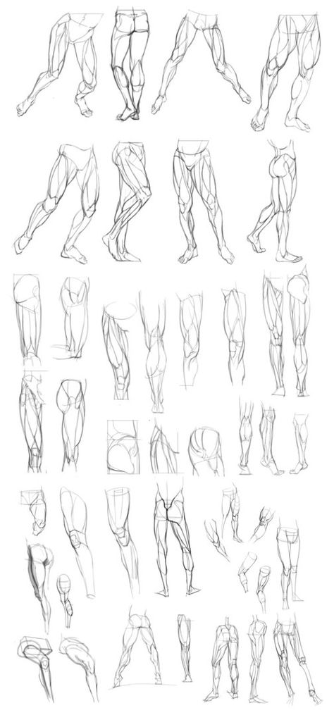 Comic Legs Drawing, How To Draw Male Buttocks, Mens Legs Drawing, Leg Practice Drawing, Legs Study Drawing, Mens Legs Reference, Leg Sketch Reference, Muscular Leg Drawing, Legs From Behind Reference