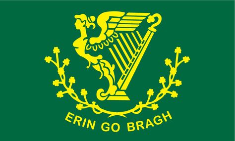 erin go bragh - Google Search Erin Go Braugh, Southern Ireland, Flag Store, Erin Go Bragh, Military Flag, Irish Quotes, Irish Roots, Irish Pride, Irish Eyes