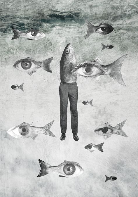 One Eye, Public Relations, Fish, Collage