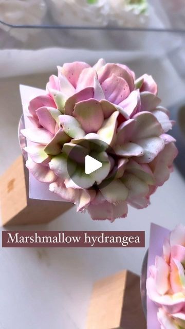 Decorated Marshmallows, Marshmallow Flowers, Chocolate Bouquet Diy, How To Make Marshmallows, Artist Birthday, Cake Decorating Classes, Flower Artists, Recipes With Marshmallows, Chocolate Flowers