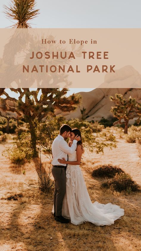 Wedding In Joshua Tree, Places To Elope In California, Elopement Joshua Tree, Joshua Tree Elopement Photography, Joshua Tree Photography, Best Elopement Locations, Where To Elope, Sunrise Ceremony, Joshua Tree Elopement