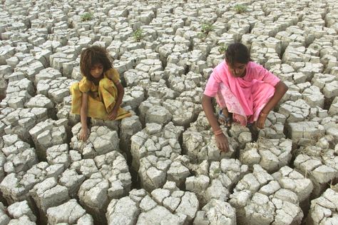 Water scarcity leads into food scarcity. Farmland in INDIA.  www.aridzoneafforestation.org #AZA #AridZoneAfforestation #SafeTree #Food #FoodShortage #FoodSecurity #FoodScarcity #SharingFood #SaveHumanity #SavePlanet #Activism Food Scarcity, Sources Of Water, Child Poverty, India For Kids, Water Scarcity, Human Settlement, World Water Day, Take For Granted, Water Day