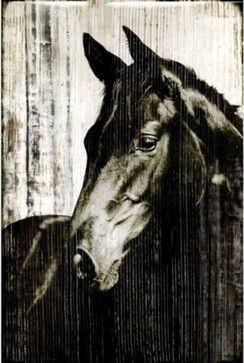 love this horse pic. could work in my decor Pinstripe Art, Equine Portraits, Horse Artwork, Z Gallerie, Lithograph Print, Black Horse, Horse Love, Horse Art, A Horse