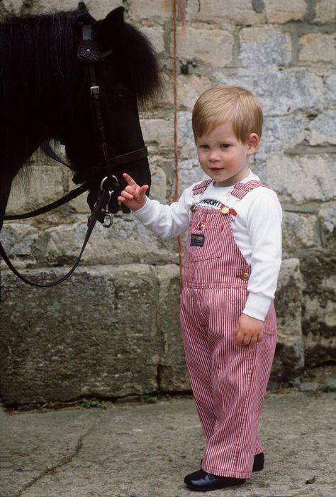 A young Prince Harry posed with with his pony, Smokey, in 1986. | 34 Pictures That Prove the Royal Family Is Full of Animal-Lovers | POPSUGAR Celebrity Prince Harry Army, Prince Harry Young, Prince Harry Styles, Prince Harry And Kate, Prince Harry Wedding, Princ Harry, Prince Harry Of Wales, Photos Rares, Harry Birthday