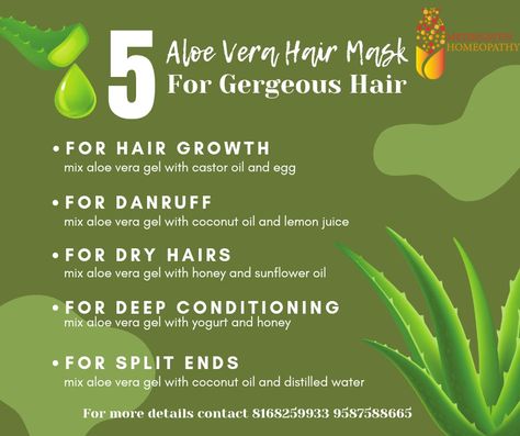 Aloe Vera Plant For Hair, Yogurt Hair Mask, Face Shape Hair, Coconut Hair Mask, Aloe Vera Hair, Southern Hair, Natural Hair Remedies, Lemon Hair, Easy To Do Hairstyles