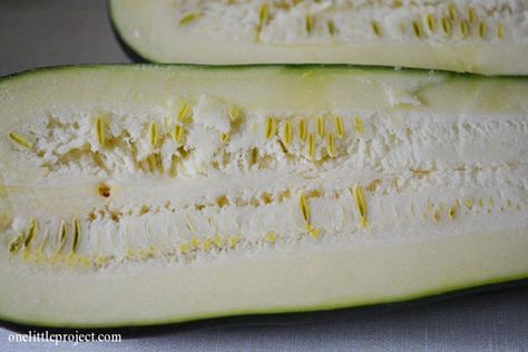 Giant Stuffed Zucchini Recipe Giant Zucchini Recipes, Boat Recipes, Zucchini Plant, Zucchini Boat, Zucchini Boat Recipes, Zucchini Plants, Zucchini Recipe, Stuffed Zucchini, Zucchini Boats