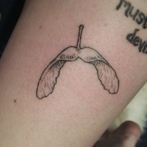 Maple Seed Tattoo, Seed Tattoo, Maple Seed, Stick Poke Tattoo, Stick And Poke Tattoo, Sick Tattoo, Handpoke Tattoo, Stick N Poke Tattoo, Hand Poked Tattoo