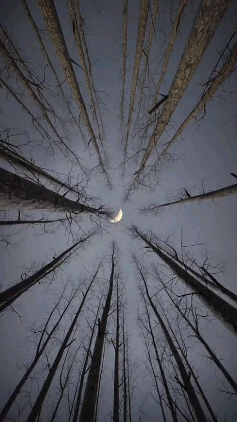 Blue Moon Photography, Sky Photography Nature, Dark Nature Aesthetic, Bff Photoshoot, Amazing Nature Photography, Night Scenery, Beautiful Views Video, Aesthetic Videos For Edits Love, Beautiful Images Nature