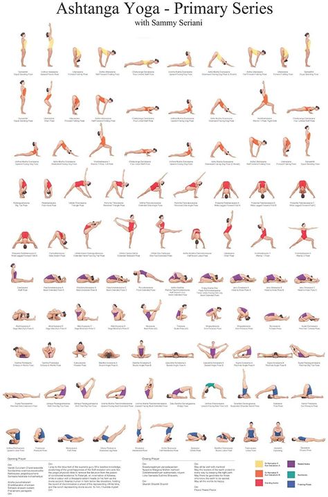 Backbends Yoga, Ashtanga Primary Series, Ashtanga Yoga Primary Series, 2 Couples, Energizing Yoga, Yoga Ashtanga, Yoga Nature, Ashtanga Vinyasa Yoga, Poses For Beginners