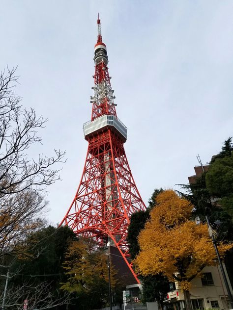 Surprised it wasn’t snowing when I went here, still looks pretty! by Parooka12 The post Tokyo Tower (December 2019) appeared first on Alo Japan. Tokyo December, December Dump, Tokyo Tower, Japan Photo, How To Look Pretty, Tokyo, Tower, Japan, Travel