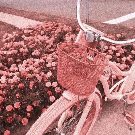 Preppy Phone, Rose Gold Aesthetic, Tout Rose, Pink Bike, Neutral Pink, Peach Aesthetic, Baby Pink Aesthetic, Gold Aesthetic, Pastel Pink Aesthetic