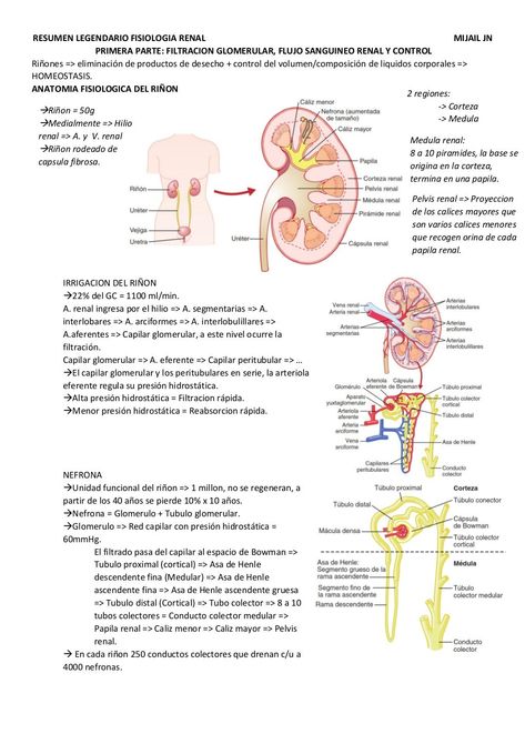 Resumen Legendario Fisiologia - Renal 2016 Studying Medicine, Medicine Student, Anatomy Quote, Medical Anatomy, Med Student, School Study Tips, Cpr, Studying Inspo, New Tricks