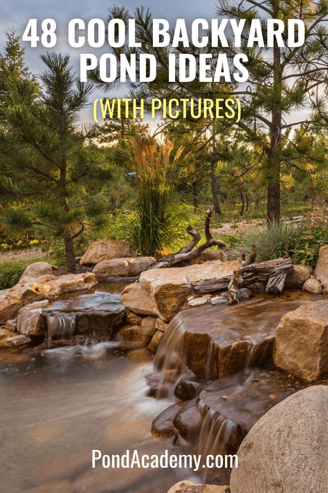 Large Garden Pond Ideas, Landscape Around Pond Ideas, Landscape Pond Ideas, Nature Pond Ideas, Large Pond Waterfall Ideas, Recreational Pond Ideas, Large Pond Landscaping Ideas, Natural Pond Landscaping Ideas, How To Build A Small Pond