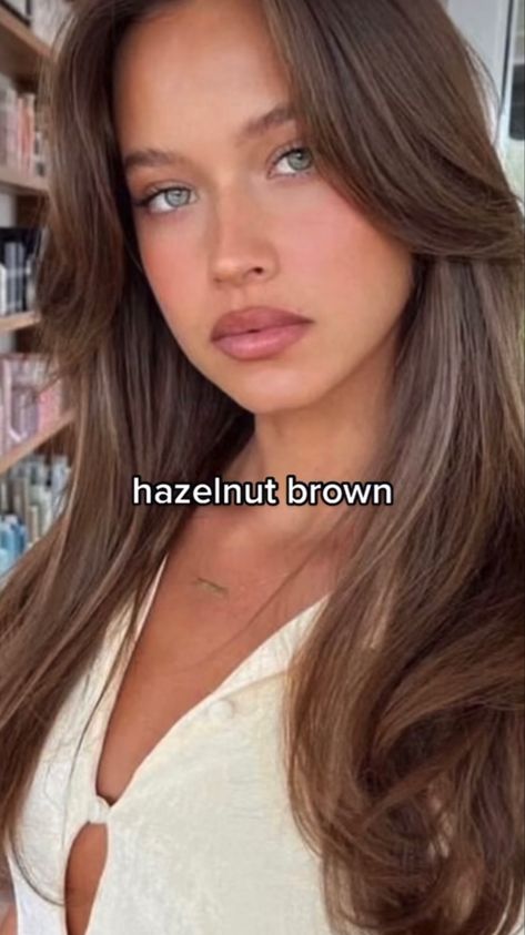 Hazelnut Hair Color, Hazelnut Hair, Warm Brown Hair Color, Brown Hair Inspiration, Warm Brown Hair, Bombshell Hair, Brown Hair Looks, Perfect Hair Color, Brown Hair Inspo