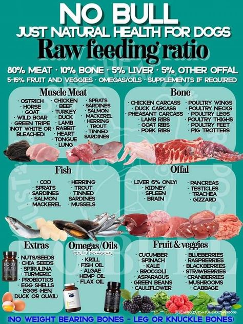 Raw Dog Feeding, Printable List Of Toxic Foods For Dogs, Half Kibble Half Raw Diet For Dogs, Meal Prep For Dog Food, Raw Fed Dogs Diet, Raw Puppy Food Recipes, Dog Raw Food Diet For Beginners, Raw Dog Food Recipes For Beginners, Diy Raw Dog Food