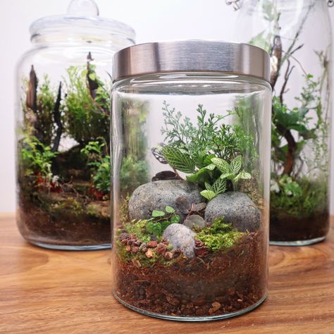 #terrarium #terrariums #scape #terrascape #moss #mossarium #nature #ecosystem #theurbannemophilist #instagood Beautiful Terrariums, Nature Crafts, Ecosystem, Green Thumb, Terrarium, Projects To Try, Plants, Green, Instagram