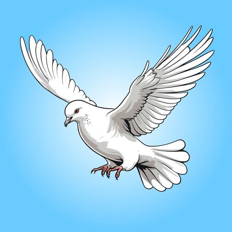 Pegion Bird Flying, Dove Freedom, Pigeon Flying, Peace Pigeon, Freedom Bird, Flying Dove, Flying Pigeon, Dove Flying, Fly Drawing