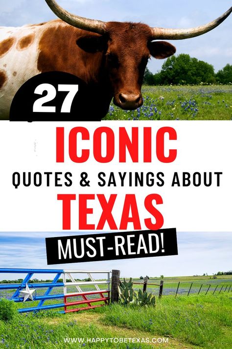 Best Texas quotes and sayings Cutest Quotes, Texas Quotes, Texas Humor, Only In Texas, Iconic Quotes, Texas History, Texas Travel, Reading Quotes, Interesting History