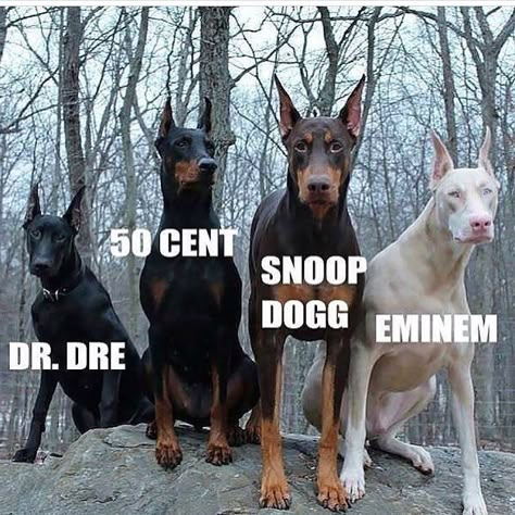 Eminem Snoop Dogg Dr Dre, Snoop Dogg Aesthetic, Eminem And Snoop Dogg, Aesthetic Eminem, Eminem Pfp, Snoop Dogg Funny, Eminem Pictures, Eminem Aesthetic, Moms Spaghetti