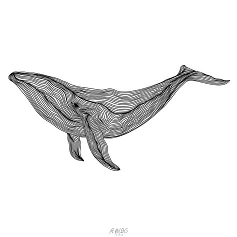 Whale Line Drawing, Whale Line Art, Ocean Line Art, Line Art Ocean, Whale Outline, Whale Sketch, 3d Pen Stencils, Tattoo Lounge, Third Eye Tattoos