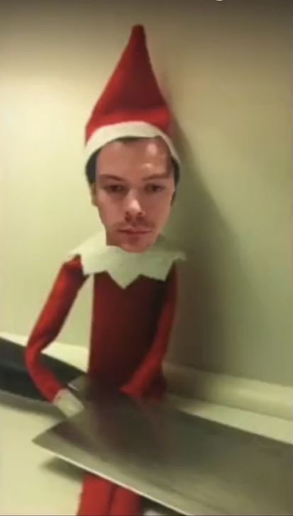 Harry Styles Memes, 1d Funny, Harry Styles Funny, Harry 1d, Crazy Funny Pictures, Harry Styles Wallpaper, Harry Styles Pictures, Harry Styles Photos, One Direction Memes