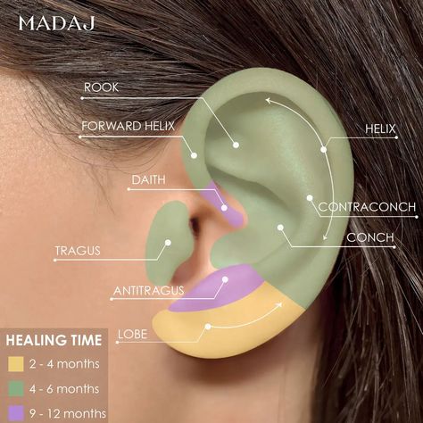 Ear Piercings Healing Time Full Guide | MADAJ Daith Piercing Healing, Piercing Healing, Different Types Of Piercings, Different Ear Piercings, Ear Peircings, Next Luxury, Types Of Ear Piercings, Serena Van Der, Forward Helix Piercing