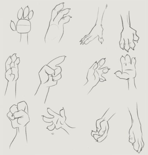 Three fingered paw tutorial Paw Hand, Paw Drawing, Paw Art, Draw Hands, Hand Drawing Reference, Art Poses, Drawing Base, Drawing Reference Poses, Drawing Techniques