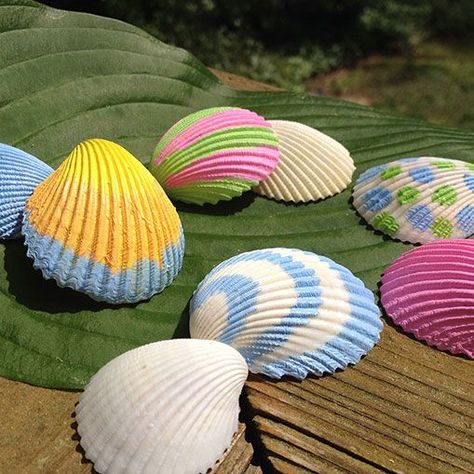 1000+ images about SEASHELLS on Pinterest | Seashells, Clam Shells ... Shells Painting Ideas, Shells Painting Acrylic, Painted Shells Ideas, Painting On Shells Seashells Ideas, Shell Painting Easy, Seashell Painting Ideas Easy, How To Paint Seashells, Seashell Painting Acrylic, Painting Shells Ideas