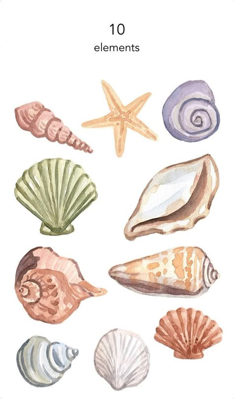 Waterpaint Ideas, Seashell Drawing, Watercolour Sea, Sea Clipart, Ocean Drawing, Beach Drawing, Beach Clipart, Scrapbook Printing, Clip Art Png