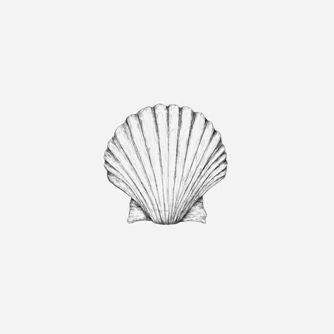 queen scallop 🐚 #underthesea Hai Tattoo, Shell Drawing, Seashell Tattoos, Shell Tattoos, Sea Tattoo, Scallop Design, Ocean Tattoos, Instagram Queen, Scallop Shell