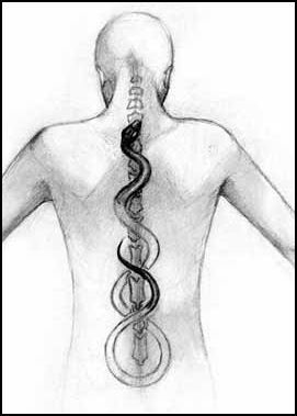 i've used this image for years. the Kundalini.  deeply rooted interest i have. Kundalini Tattoo, Yoga Kunst, Sahaja Yoga, Yoga Kundalini, Kundalini Awakening, Sanskrit Words, Energy Medicine, Les Chakras, Snake Tattoo