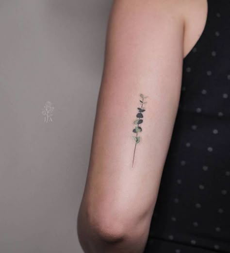 Eucalyptus tattoo behind the left ear. Eucalyptus Tattoo, Small Nature Tattoo, Flower Tats, Arm Wrap Tattoo, Plant Tattoos, Botanical Tattoos, Tato Minimal, Mother Nature Tattoos, Fern Tattoo