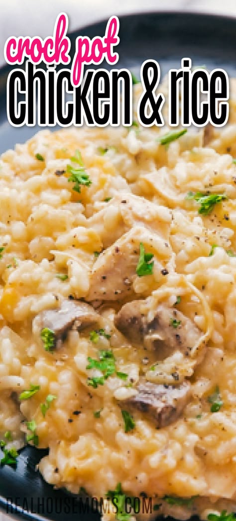 Cheesy chicken and rice on a plate with parsley garnish on top. Favorite Crockpot Meals, Chicken Rice Cheese, Cheesy Crockpot Chicken, Crock Pot Chicken And Rice, Crockpot Rice Recipes, Crockpot Chicken And Rice, Chicken Recipe For Dinner, Chicken And Rice Crockpot, Cheesy Chicken And Rice