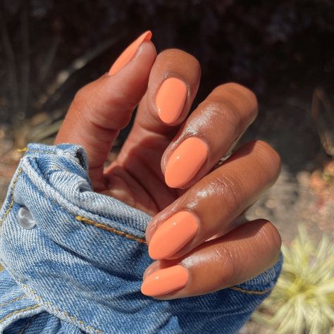 Pastel Nails Orange, Peach Cream Nails, Orange Creamsicle Nail Color, Creamsicle Orange Nails, Apricot Nail Color, Tangerine Nail Color, Orange Nails Dark Skin, May June Nails, Peach Coloured Nails