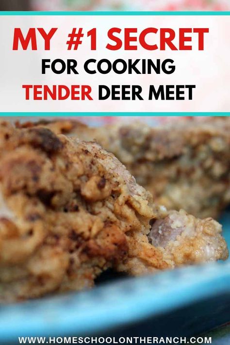 How to Cook Deer Meat | Tender Fried Deer Meat Recipe - Smart Mom at Home Recipes For Deer Meat, Deer Backstrap Recipes, Deer Steak Recipes, Moose Recipes, Backstrap Recipes, Deer Steak, Elk Recipes, Venison Meat, Venison Burgers